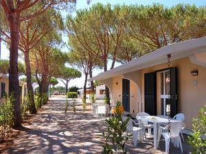 Bungalows al camping voltoncino maremma