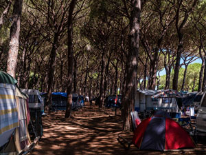 pineta camping voltoncino