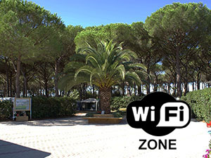 Servizio internet WI-FI