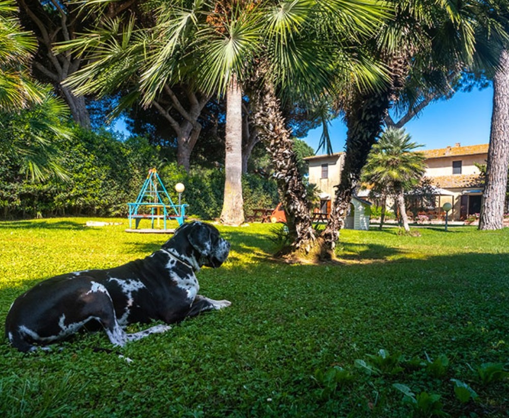 Residence Casale Voltoncino Pet Friendly